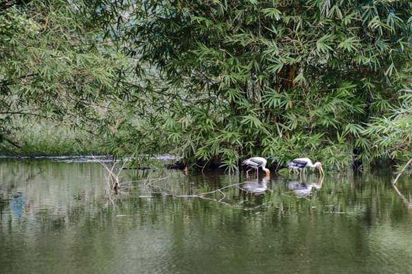 โปรแกรมนำเที่ยว